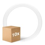 Mehrfachpackung 10x Ledvance LED Röhre T9 Value rund (EM/Mains) 18.3W 2200lm - 840 Kaltweiß | Ersatz für 32W
