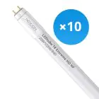 Mehrfachpackung 10x Noxion LED Röhre T8 Avant Extreme (HF) High Output 20W 3100lm - 840 Kaltweiß | 150cm - Ersatz für 58W