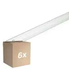Mehrfachpackung 6x Philips T8 UV - C 36W - Ultraviolett | 120cm