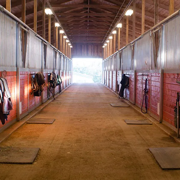 Stallbeleuchtung